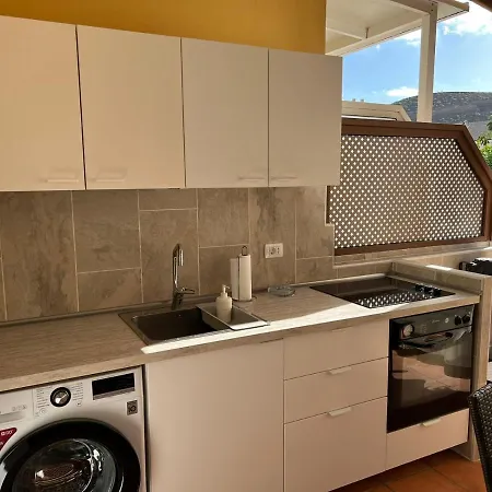 El Camison Playa de las Americas (Tenerife)